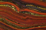Polished Tiger Iron Stromatolite - Billion Years #129218-1